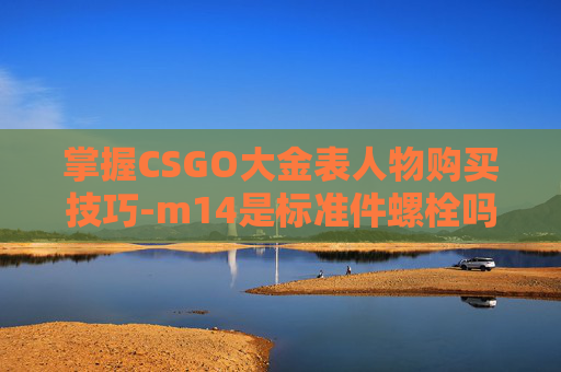 掌握CSGO大金表人物购买技巧-m14是标准件螺栓吗