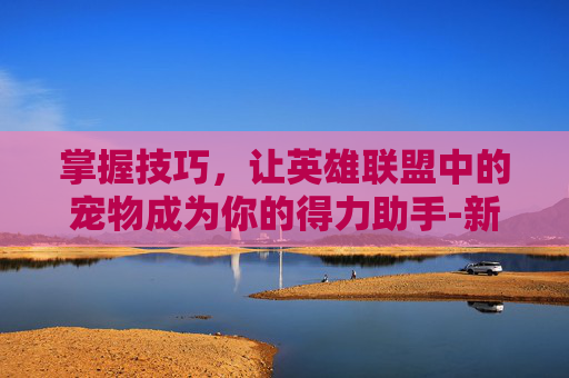 掌握技巧，让英雄联盟中的宠物成为你的得力助手-新版LOL宠物怎么设置