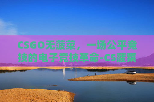 CSGO无菠菜，一场公平竞技的电子竞技革命-CS菠菜