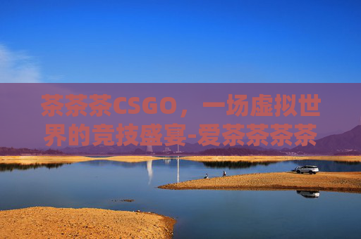 茶茶茶CSGO，一场虚拟世界的竞技盛宴-爱茶茶茶茶