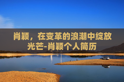 肖颖，在变革的浪潮中绽放光芒-肖颖个人简历