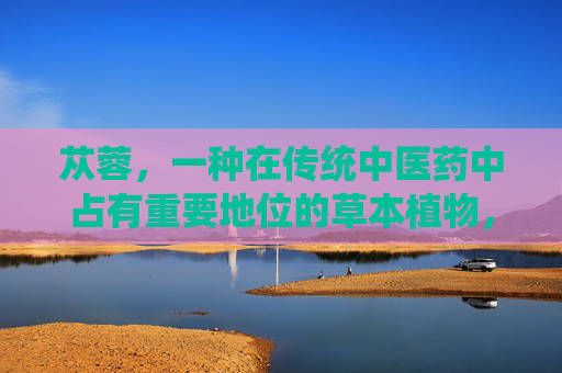 苁蓉，一种在传统中医药中占有重要地位的草本植物，因其丰富的药用价值而备受推崇。它不仅是一种珍贵的中药材，更是一种具有多种功效的天然保健品。下面将介绍苁蓉的主要功效及其应用。-苁蓉有什么功效图片