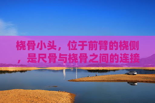 桡骨小头，位于前臂的桡侧，是尺骨与桡骨之间的连接点。它不仅是人体解剖学中的一个重要结构，也是运动功能和疾病发生的关键部位。本文将深入探讨桡骨小头的解剖结构、生理功能、常见疾病以及治疗方法。-桡骨小头半脱位