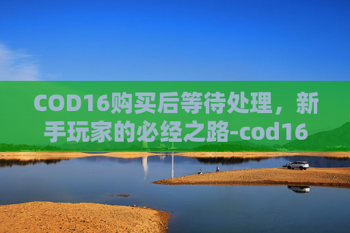 COD16购买后等待处理，新手玩家的必经之路-cod16预购奖励