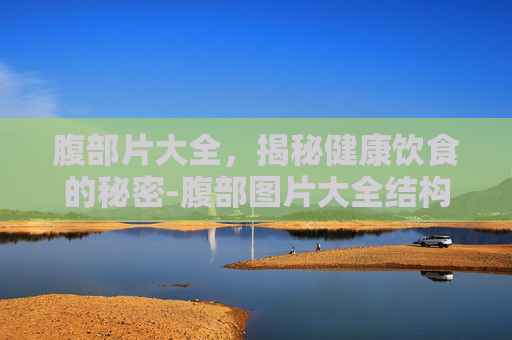 腹部片大全，揭秘健康饮食的秘密-腹部图片大全结构图
