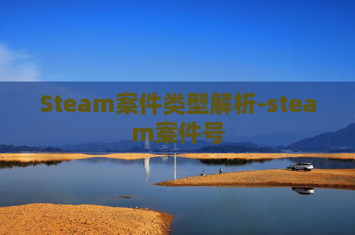 Steam案件类型解析-steam案件号