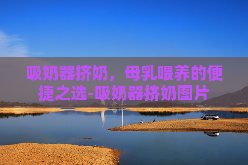 吸奶器挤奶，母乳喂养的便捷之选-吸奶器挤奶图片