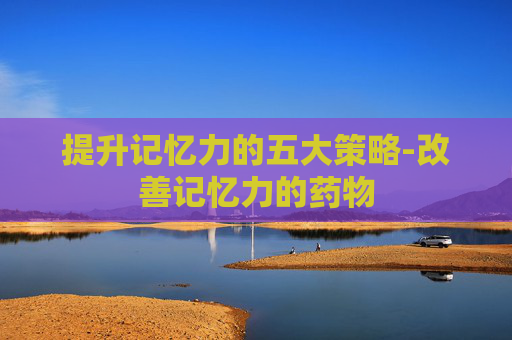 提升记忆力的五大策略-改善记忆力的药物