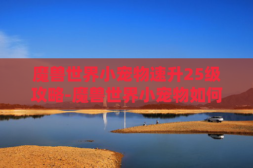 魔兽世界小宠物速升25级攻略-魔兽世界小宠物如何快速升级到25