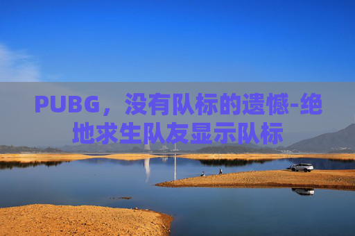 PUBG，没有队标的遗憾-绝地求生队友显示队标