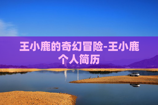 王小鹿的奇幻冒险-王小鹿个人简历