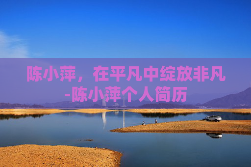陈小萍，在平凡中绽放非凡-陈小萍个人简历