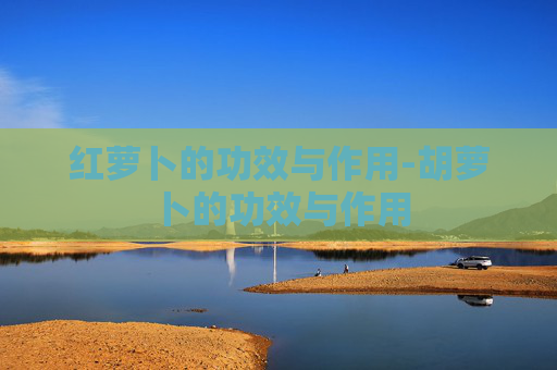红萝卜的功效与作用-胡萝卜的功效与作用