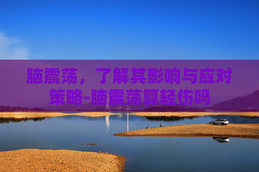 脑震荡，了解其影响与应对策略-脑震荡算轻伤吗