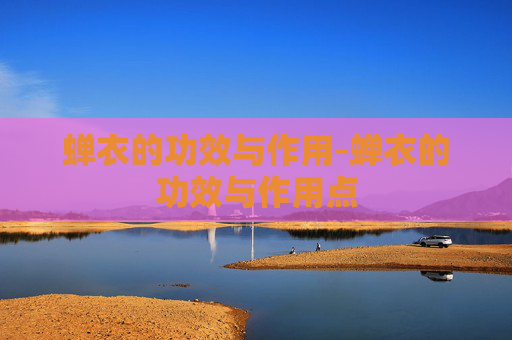 蝉衣的功效与作用-蝉衣的功效与作用点