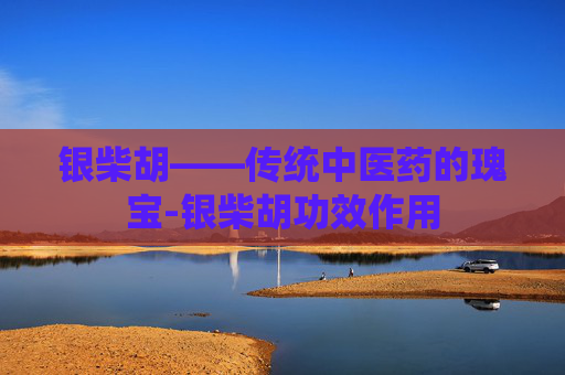 银柴胡——传统中医药的瑰宝-银柴胡功效作用