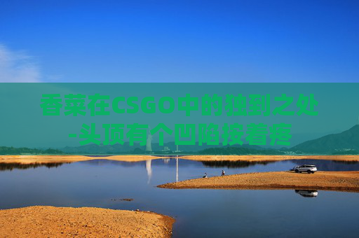 香菜在CSGO中的独到之处-头顶有个凹陷按着疼