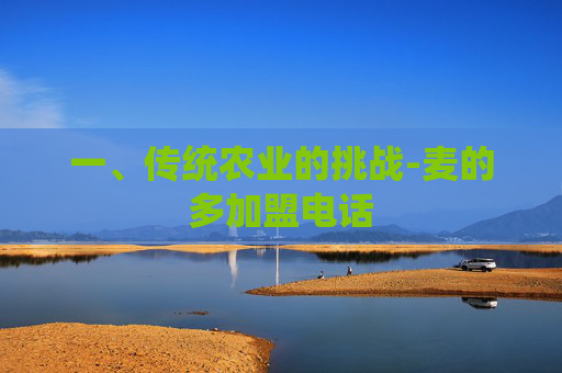一、传统农业的挑战-麦的多加盟电话