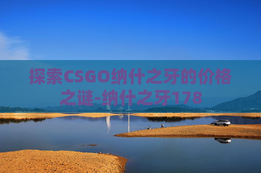探索CSGO纳什之牙的价格之谜-纳什之牙178