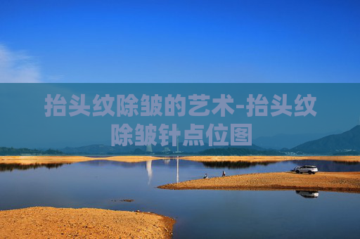 抬头纹除皱的艺术-抬头纹除皱针点位图