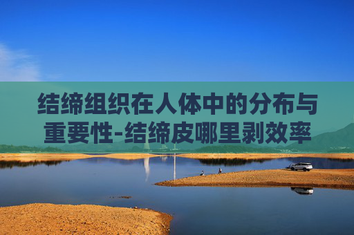 结缔组织在人体中的分布与重要性-结缔皮哪里剥效率最高