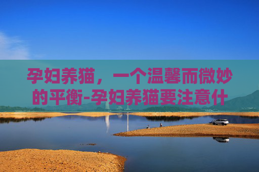 孕妇养猫，一个温馨而微妙的平衡-孕妇养猫要注意什么