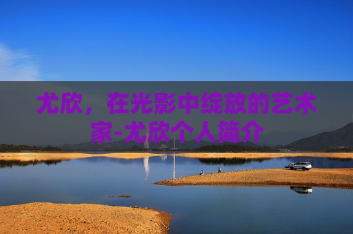尤欣，在光影中绽放的艺术家-尤欣个人简介