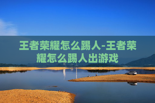 王者荣耀怎么踢人-王者荣耀怎么踢人出游戏