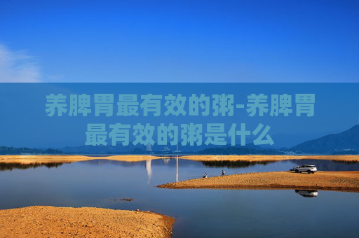 养脾胃最有效的粥-养脾胃最有效的粥是什么