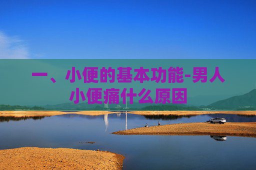 一、小便的基本功能-男人小便痛什么原因