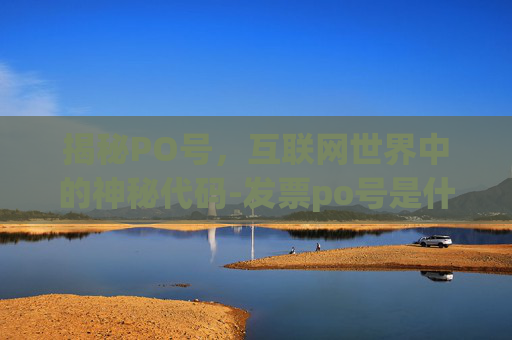 揭秘PO号，互联网世界中的神秘代码-发票po号是什么意思
