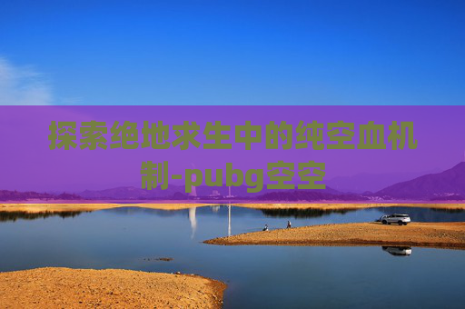探索绝地求生中的纯空血机制-pubg空空
