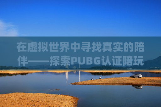 在虚拟世界中寻找真实的陪伴——探索PUBG认证陪玩的魅力-pubgmobile陪玩