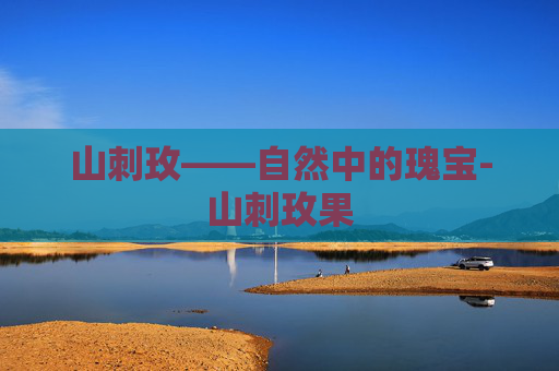 山刺玫——自然中的瑰宝-山刺玫果