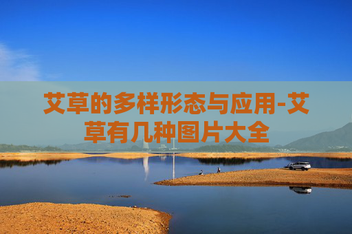 艾草的多样形态与应用-艾草有几种图片大全