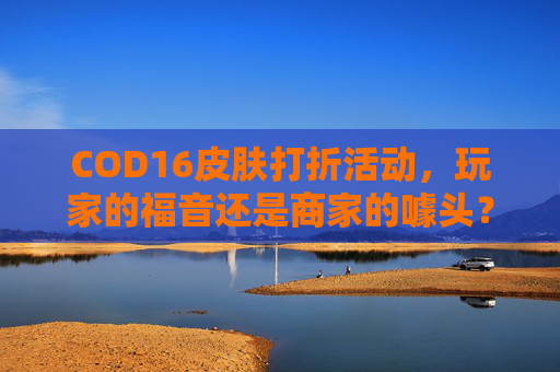 COD16皮肤打折活动，玩家的福音还是商家的噱头？-cod16ak皮肤