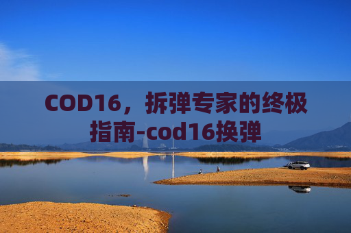 COD16，拆弹专家的终极指南-cod16换弹