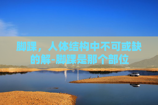 脚踝，人体结构中不可或缺的解-脚踝是那个部位