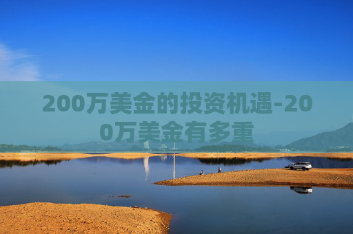 200万美金的投资机遇-200万美金有多重