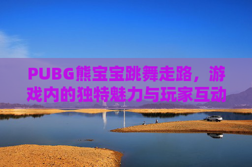PUBG熊宝宝跳舞走路，游戏内的独特魅力与玩家互动-