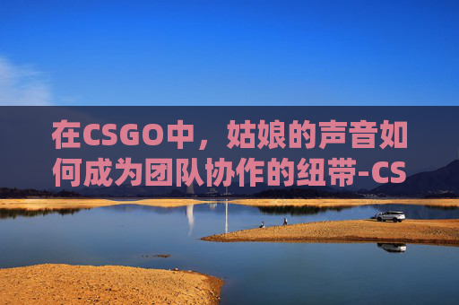 在CSGO中，姑娘的声音如何成为团队协作的纽带-CS GO的声音