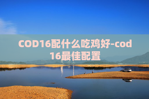 COD16配什么吃鸡好-cod16最佳配置