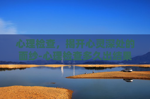 心理检查，揭开心灵深处的面纱-心理检查多久出结果