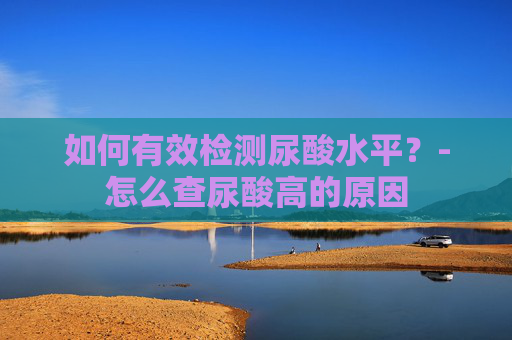 如何有效检测尿酸水平？-怎么查尿酸高的原因