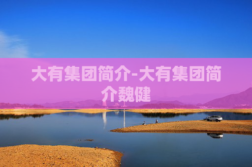 大有集团简介-大有集团简介魏健