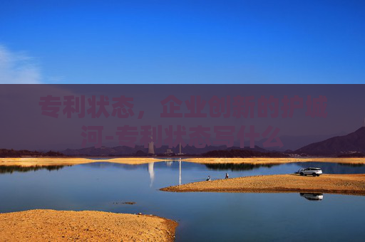 专利状态，企业创新的护城河-专利状态写什么