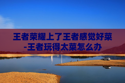 王者荣耀上了王者感觉好菜-王者玩得太菜怎么办
