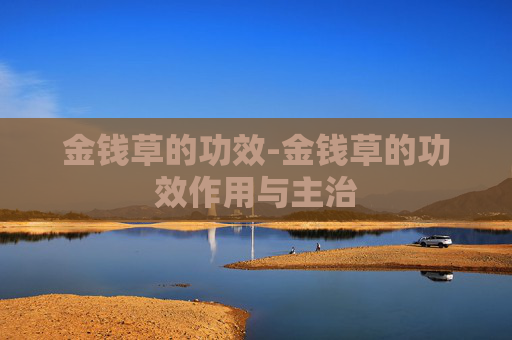 金钱草的功效-金钱草的功效作用与主治