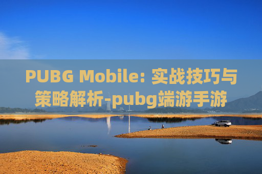 PUBG Mobile: 实战技巧与策略解析-pubg端游手游