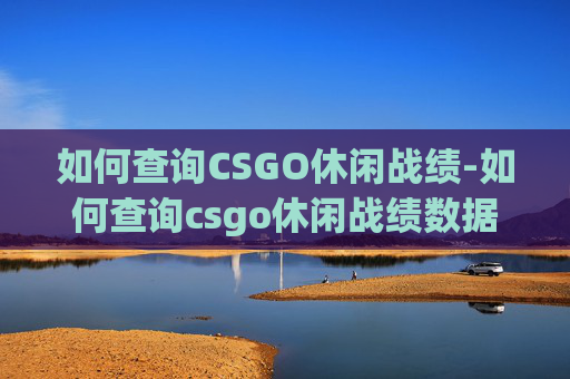 如何查询CSGO休闲战绩-如何查询csgo休闲战绩数据